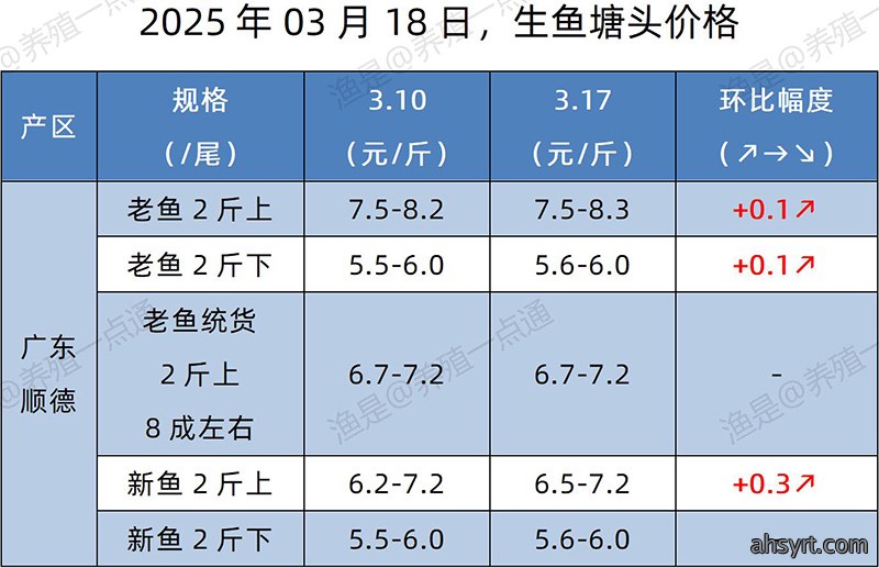 【渔是特约】2025.03.18,加州鲈、生鱼、黄颡鱼、江团塘头价格