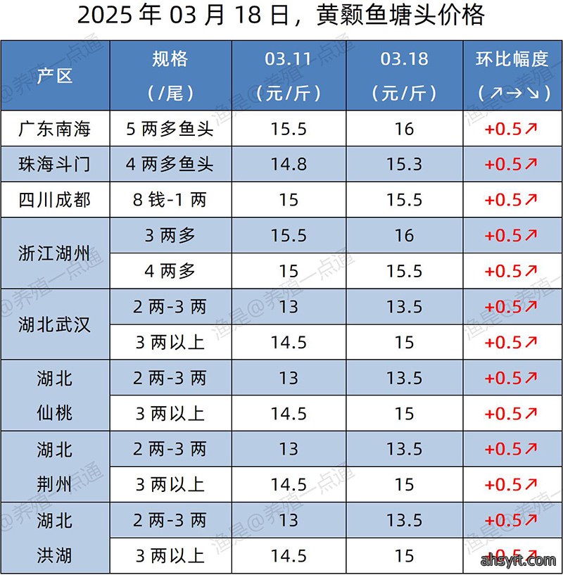 【渔是特约】2025.03.18,加州鲈、生鱼、黄颡鱼、江团塘头价格