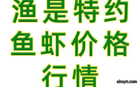 渔是特约鱼虾价格行情播报