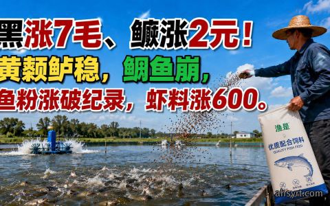 【鱼价】黑鱼鳜鱼涨，黄颡鲈稳，鮰崩，饲料涨价应对策略，操作建议