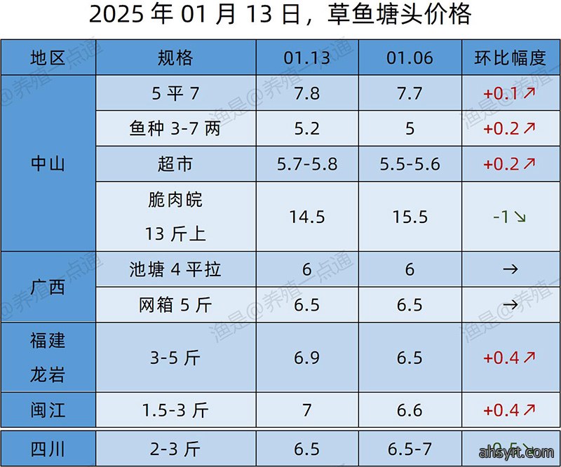 【渔是特约】2025.01.13,草鱼、黄颡鱼、罗非鱼、斑点叉尾鮰塘头价格