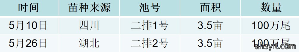 鮰鱼苗大棚养殖效果对比分析,疫病从苗种抓起