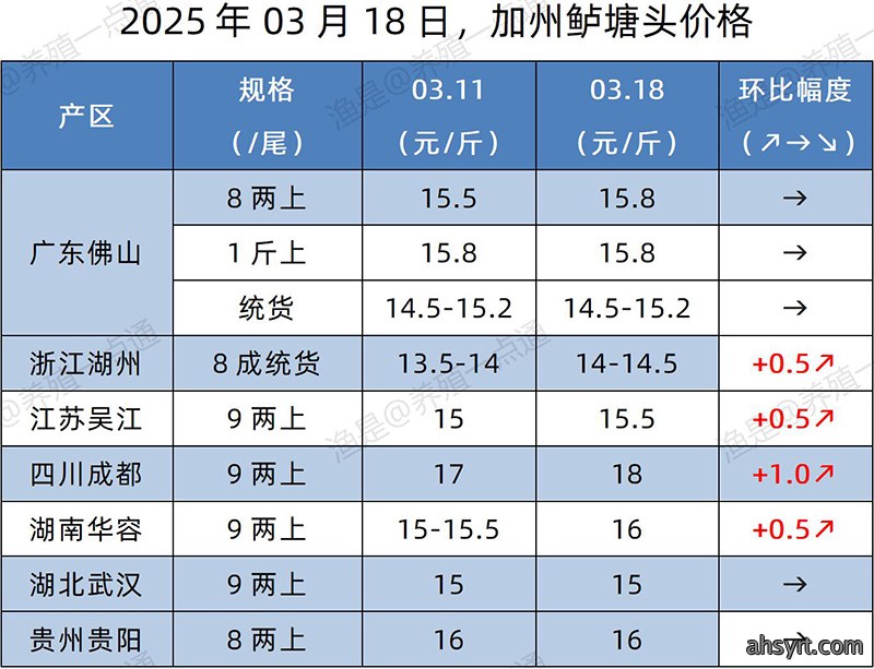 【渔是特约】2025.03.18,加州鲈、生鱼、黄颡鱼、江团塘头价格