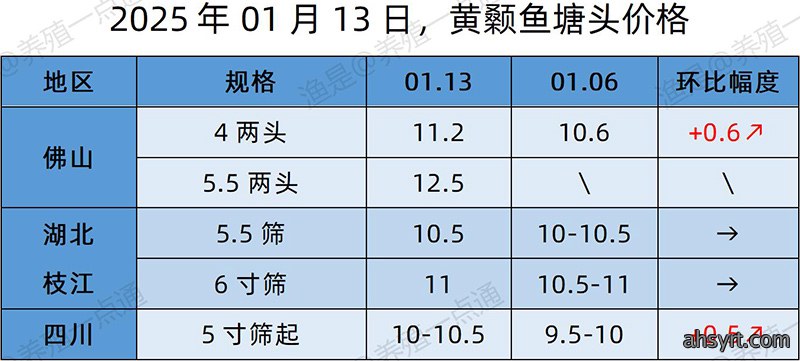 【渔是特约】2025.01.13,草鱼、黄颡鱼、罗非鱼、斑点叉尾鮰塘头价格