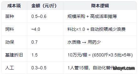 中棚虾🦐养殖模式简介，PK小棚、工厂化高位池优劣比较