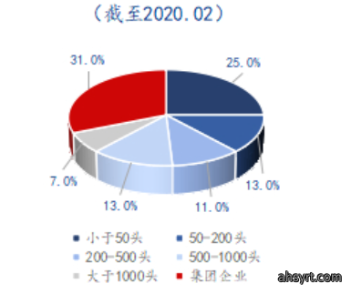 Mysteel解读：生猪行业变局之路，舍小保大？