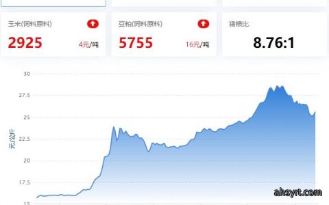 2022.11.14，猪价走势。