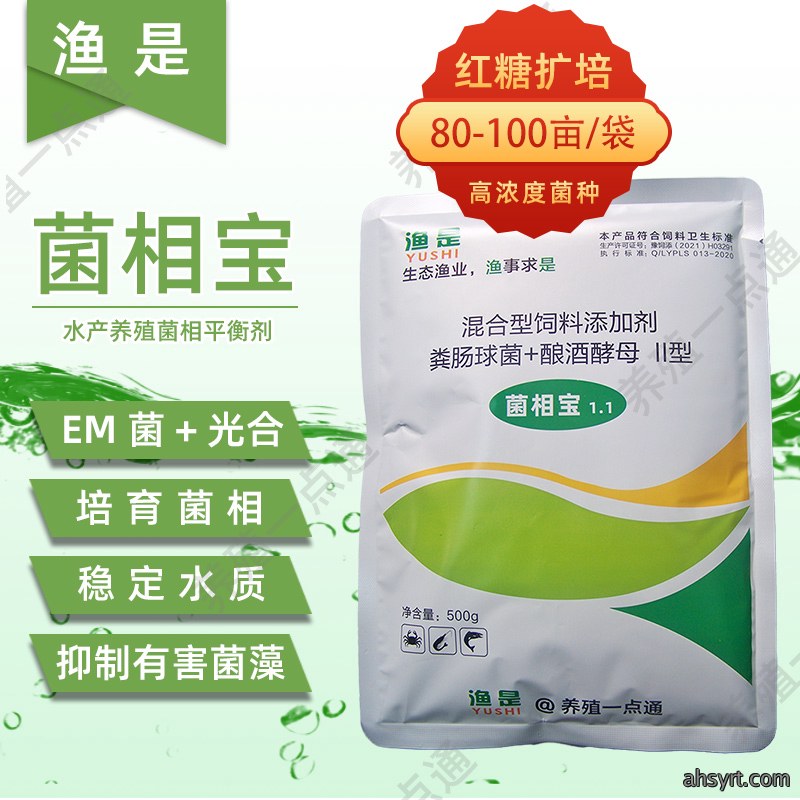 脆肉鲩利润翻数倍,草鱼脆化关键——饲料