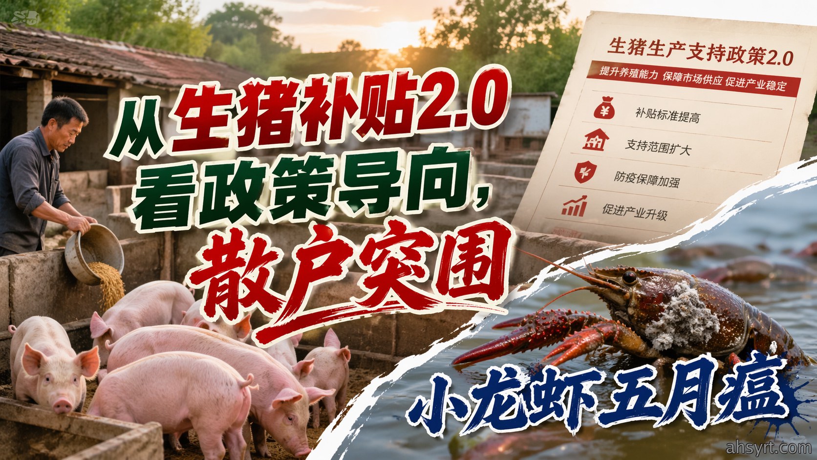 从生猪补贴2.0看政策导向，散户突围