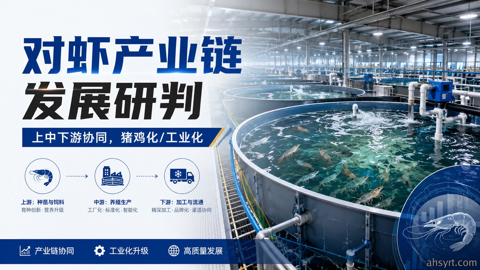 对虾产业链